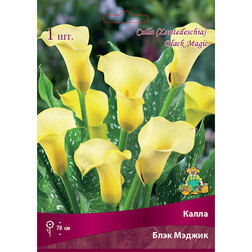 ����  ����� ���� ������, ������ �� 360 ���