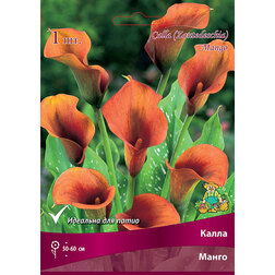 ����  ����� �����, ������ �� 360 ���