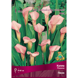 ����  ����� ������ ����, ������ �� 360 ���