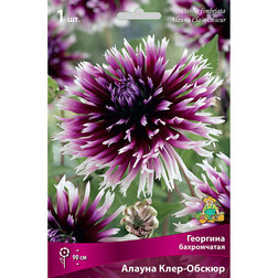 ����  �������� ����������� ������ ����-������ (1 ��.), ������ �� 462 ���