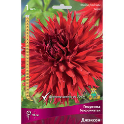 ����  �������� ����������� ������� (1 ��.), ������ �� 583 ���