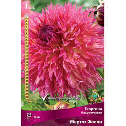 ����  �������� ����������� ������ �����, ������ �� 462 ���