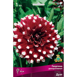 ����  �������� ������������ ����, ������ �� 421 ���