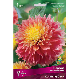 ����  �������� ������������ ����� ������, ������ �� 484 ���