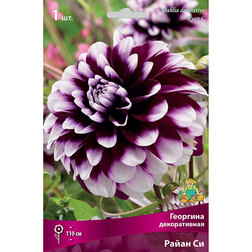 ����  �������� ������������ ����� �� (1 ��.), ������ �� 467 ���