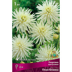 ����  �������� ���������� ����-������, ������ �� 421 ���