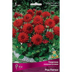 ����  �������� �������������� ��� �����, ������ �� 421 ���