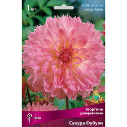 ����  �������� ������������ ������ ������ (1 ��.), ������ �� 462 ���