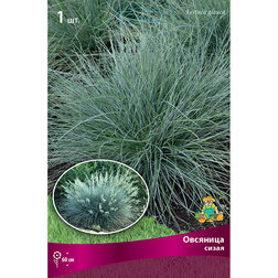 ����  �������� �����, ������ �� 411 ���