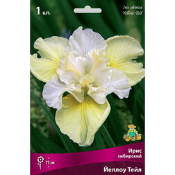 ����  ���� ��������� ������ ����, ������ �� 292 ���