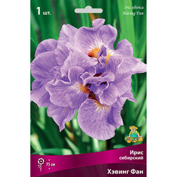 ����  ���� ��������� ������ ���, ������ �� 292 ���