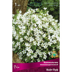 ����  ����������� ���������������� ���� ���, ������ �� 433 ���