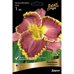 ����  �������� ��������� �����, ������ �� 572 ���