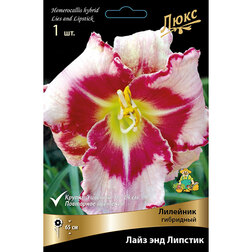 ����  �������� ��������� ���� ��� �������, ������ �� 625 ���