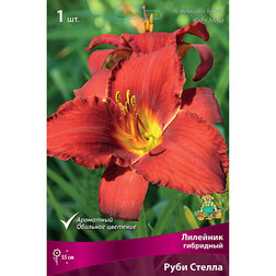 ����  �������� ��������� ���� ������, ������ �� 368 ���