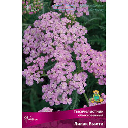 ����  ������������� ������������ ����� �����, ������ �� 314 ���