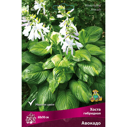 ����  ����� ��������� �������, ������ �� 357 ���