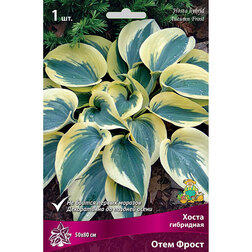 ����  ����� ��������� ���� �����, ������ �� 402 ���