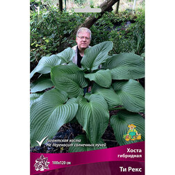 ����  ����� ��������� �� ����, ������ �� 357 ���