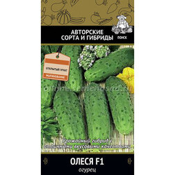 ����  ������ ����� F1, ������ �� 30 ���