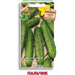 ����  ������ �������, ������ �� 25 ���