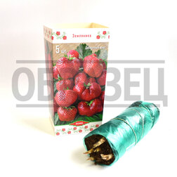 ����  ��������� ������� ������� (5��), ������ �� 599 ���