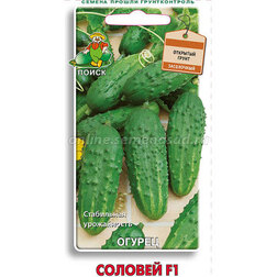 ����  ������ ������� F1, ������ �� 29 ���