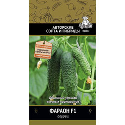 ����  ������ ������ F1, ������ �� 39 ���