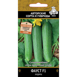 ����  ������ ����� F1, ������ �� 42 ���