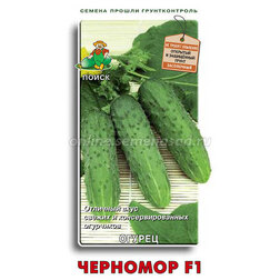 ����  ������ �������� F1, ������ �� 31 ���