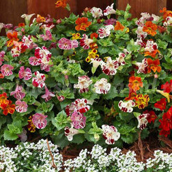 ����  ������� ������ ������� ���� (1��-100 �����) ���������������� ������, ������ �� 448 ���