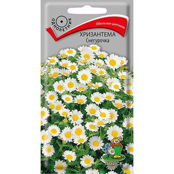 ����  ���������� ����������, ������ �� 31 ���