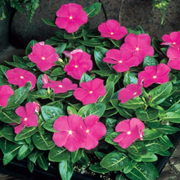 ����  ���������� �������� ��� ����� (1��-100��)���������������� ������, ������ �� 352 ���