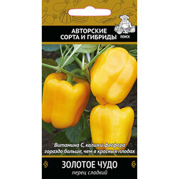 ����  ����� ������� ������� ����, ������ �� 29 ���