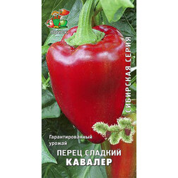 ����  ����� ������� ������� (��������� �����), ������ �� 29 ���