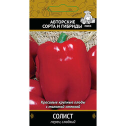 ����  ����� ������� ������, ������ �� 29 ���