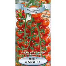 ����  ����� ���� F1, ������ �� 37 ���