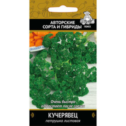 ����  �������� ���������, ������ �� 29 ���