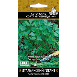 ����  �������� ����������� ������, ������ �� 29 ���