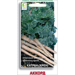 ����  ������ (����) ������, ������ �� 29 ���