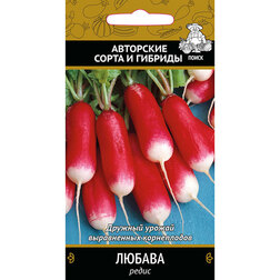 ����  ����� ������, ������ �� 29 ���