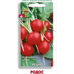 ����  ����� �����, ������ �� 29 ���