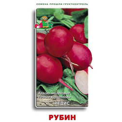 ����  ����� �����, ������ �� 25 ���