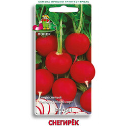 ����  ����� �������, ������ �� 30 ���