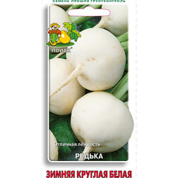 ����  ������ ������ ������� �����, ������ �� 25 ���