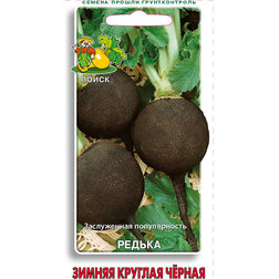 ����  ������ ������ ������� ������, ������ �� 25 ���