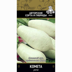 ����  ���� ������, ������ �� 29 ���