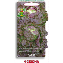 ����  ����� 4 ������, ������ �� 29 ���