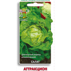 ����  ����� ����������, ������ �� 29 ���