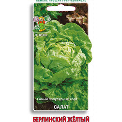 ����  ����� ���������� �����, ������ �� 25 ���